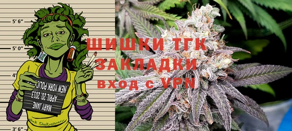 mdpv Каменногорск
