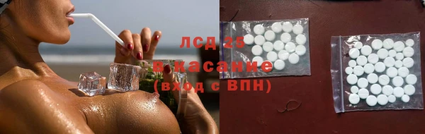 спайс Каменка