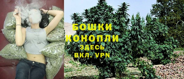 2c-b Инта