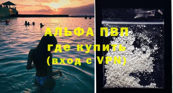 спайс Каменка