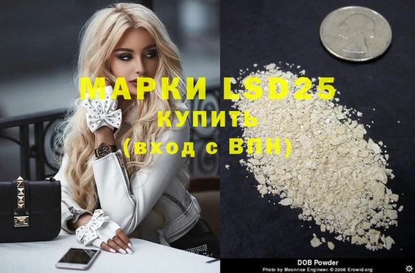 spice Инсар