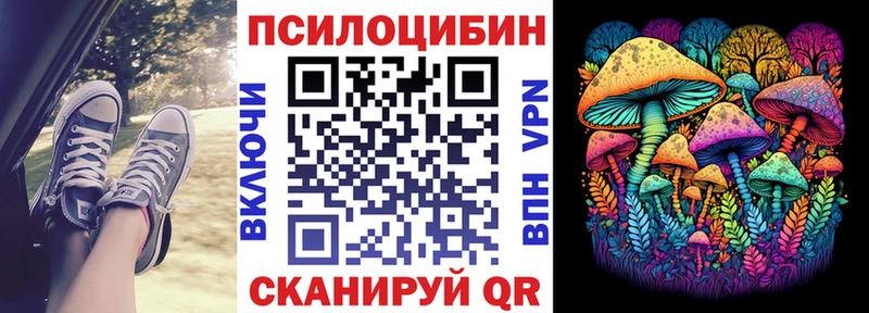 Купить закладки  Железногорск-Илимский  Псилоцибиновые грибы GOLDEN TEACHER 